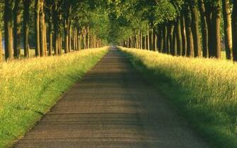 Path HD Wallpaper Background Image Id