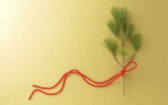 Traditional Japanese New Year Pics Wallpaper High Definition