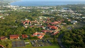 University Of Hawaii At Hilo Wikipedia The Tattoo Design Bild