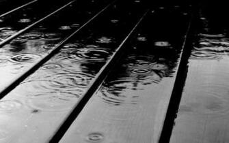 Black Wood Rain Photography Image HD Wallpaper