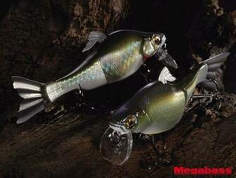 Fish Lure Wallpaper Fishing Gear