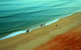 Ocean Beach Horses People Wallpaper