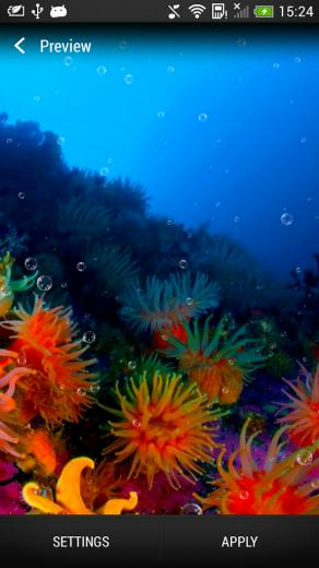 Deep Sea Fun Art Balloons Desktop Wallpaper Pictures