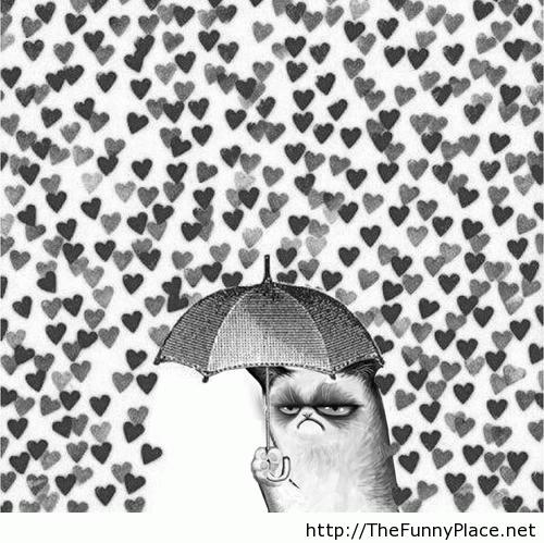 Tagged Amazing Grumpy Cat Awesome Cool Cover Cute