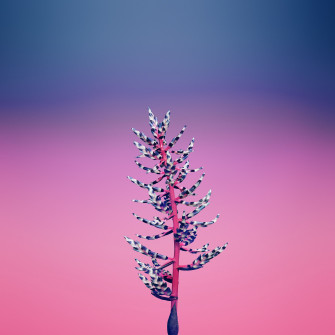 Simple Flower Wallpaper