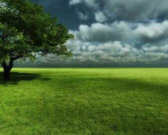 Beautiful Spring Background For X Resolution