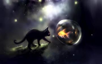 Kitten Dreams Art Cat Fish Water Balloon Wallpaper HD
