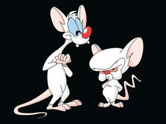 Pinky And The Brain Cartoon Wallpaper Wallpaperin4k Net
