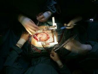 Heart Pictures Cardiovascular Photos National Geographic
