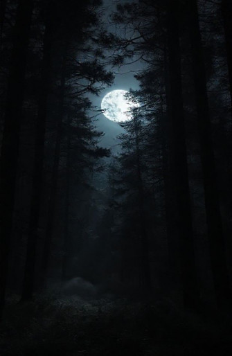 Dark Forest With Moon Wallpaper