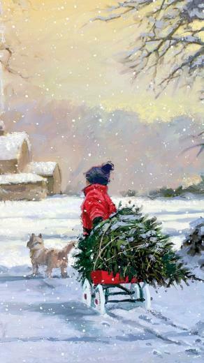Winter iPhone Wallpaper Background And
