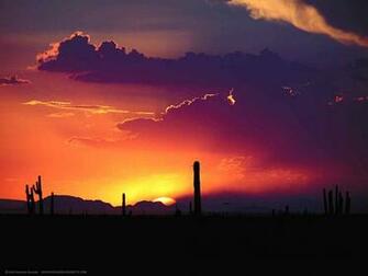 Raven S Fight Sunset Wallpaper X
