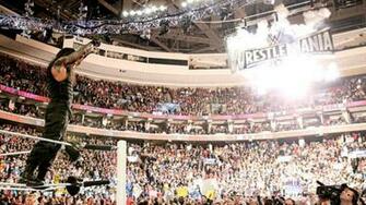 Wwe Superstar Roman Reigns HD Wallpaper Most Pictures