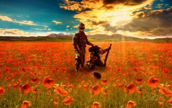Remembrance Poppy Wallpaper Deviantart More Artists Like Knife Hilt