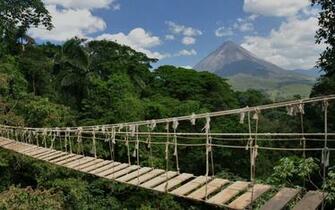 Rope Bridge Costa Rica Wallpaper Stock