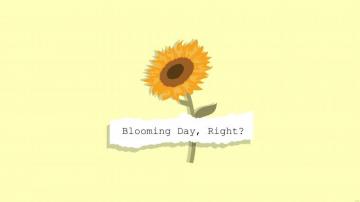 Simple Sunflower Wallpaper Eps Illustrator Jpg Png Svg