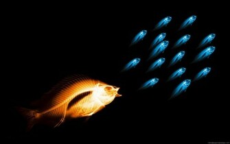 HD Wallpaper Widescreen Full Desktop