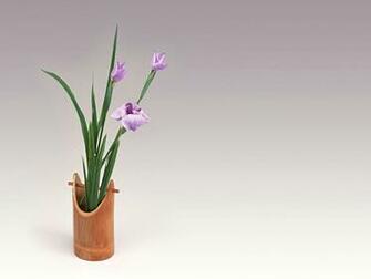 Ikebana Wallpaper