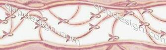Ribbons Breast Cancer Awareness Pink Feminine Wallpaper Border From