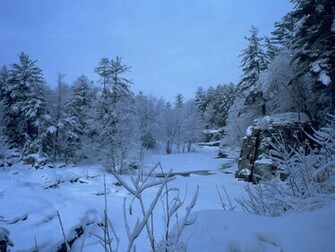 Snow Forest Wallpaper HD In Nature Imageci