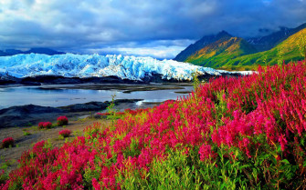 Spring Red Flowers River Mountain With Snow Landscape HD Wallpape