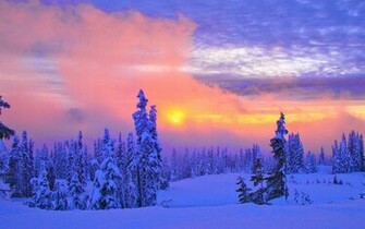 Wallpaper Beautiful Winter Scenery Desktop Background