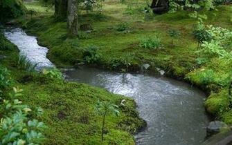 HD Wallpaper River