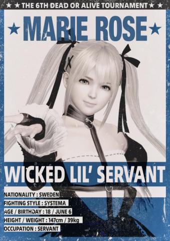 Doa6 Marie Rose Card Dead Alive Video Games Girls Japanese