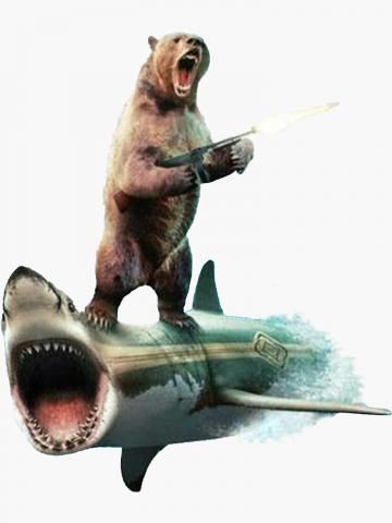 Bear On Shark Stickers