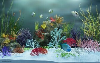 Aquarium Wallpaper