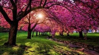 Spring Scenery Wallpaper Bits