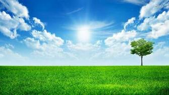 Bright Sunny Day Wallpaper