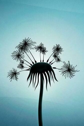 Beautiful And Cool iPhone Wallpaper The Design Work