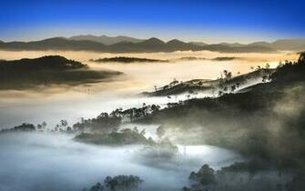 Fog 8k Ultra HD Wallpaper Background Image Id
