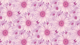 Pastel Pink Aesthetic Cute Wallpaper For Laptop