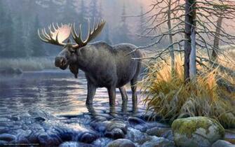 Pin Wallpaper Elk Picture S Author Desktop On