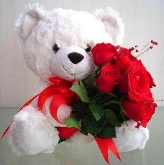 Celebrity Wall Teddy Bear Day Wallpaper