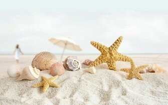 Tag Starfish Wallpaper Background Photos Image Andpictures For