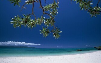 Japan Okinawa Island Beaches Wallpaper Tourist