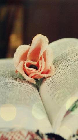 Tea And Book iPhone Wallpaper On