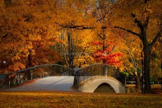 Ideas For Your Fall Foliage Photos Photobalcony