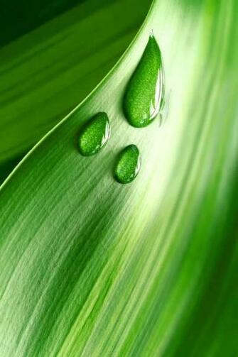 Water Drop iPhone 4s Wallpaper iPad