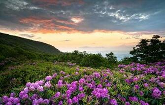 Usa Shenandoah Virginia National Park Mountains Clouds