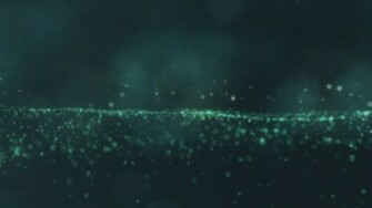 Animus Wallpaper