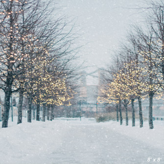 Blurred Winter Tree Falling Snow Backdrop For Photo Sbh0645