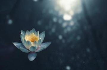 Meditation Pictures Image Stock Photos On