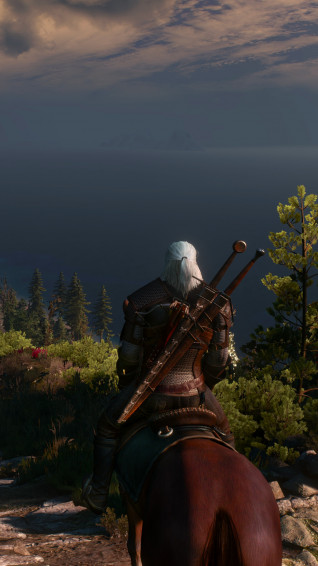 Witcher iPhone Wallpaper