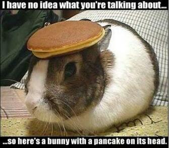 Funny Pictures Thread Acura Mdx Forum Suv Forums