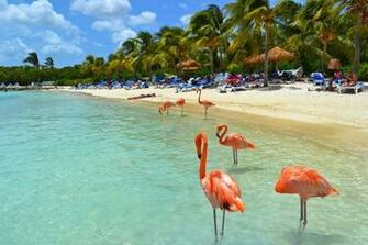 Some Beautiful Photos Of Aruba Best Wallpaper S