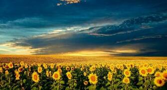 Amazing Nature HD Wallpaper 1080p